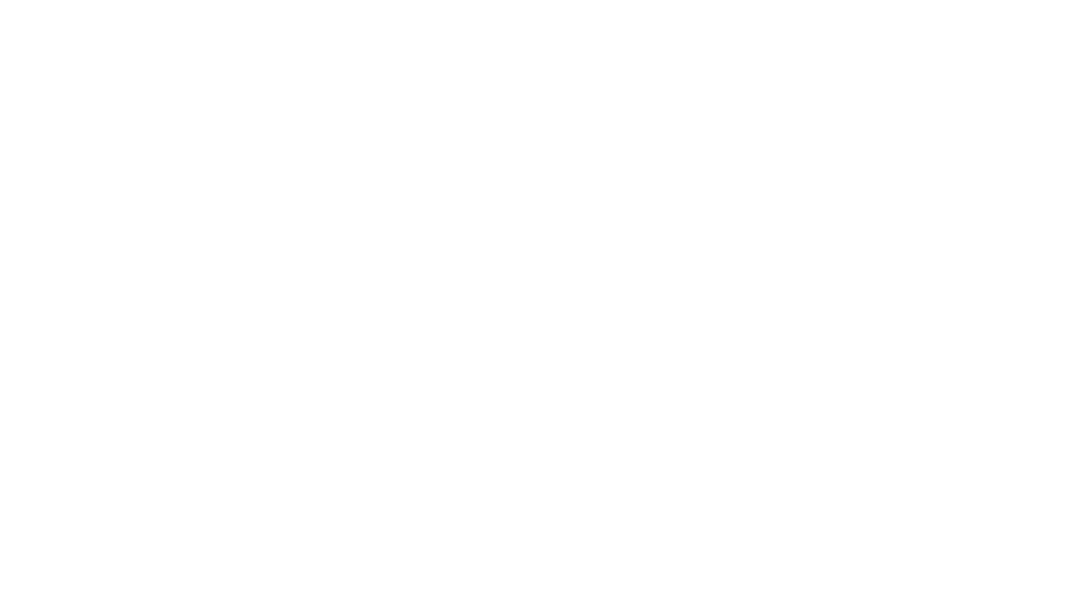 Robustus Logo